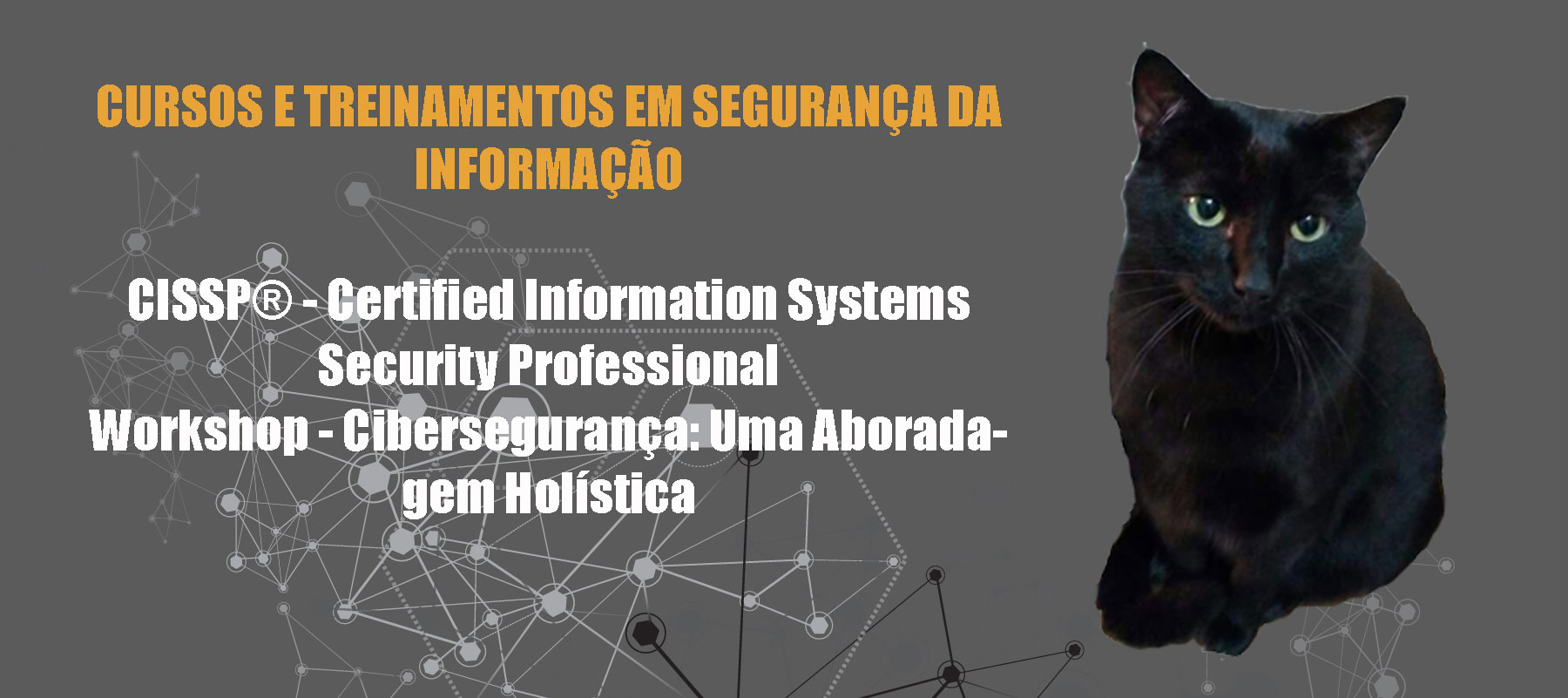 cursos e treinamentos